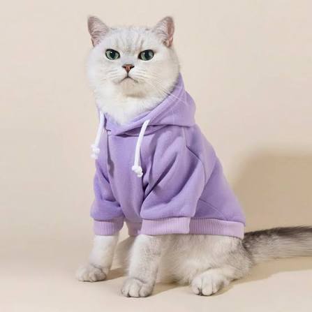 Baju Hoodie Kucing
